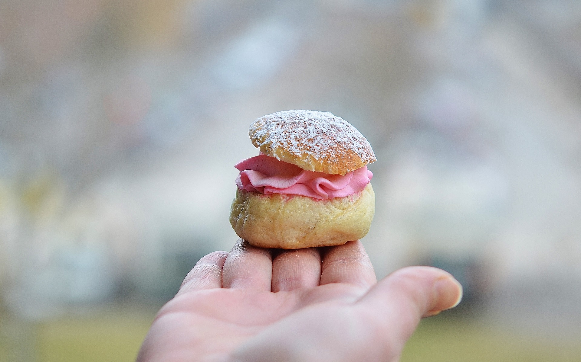 Så mycket olika semlor