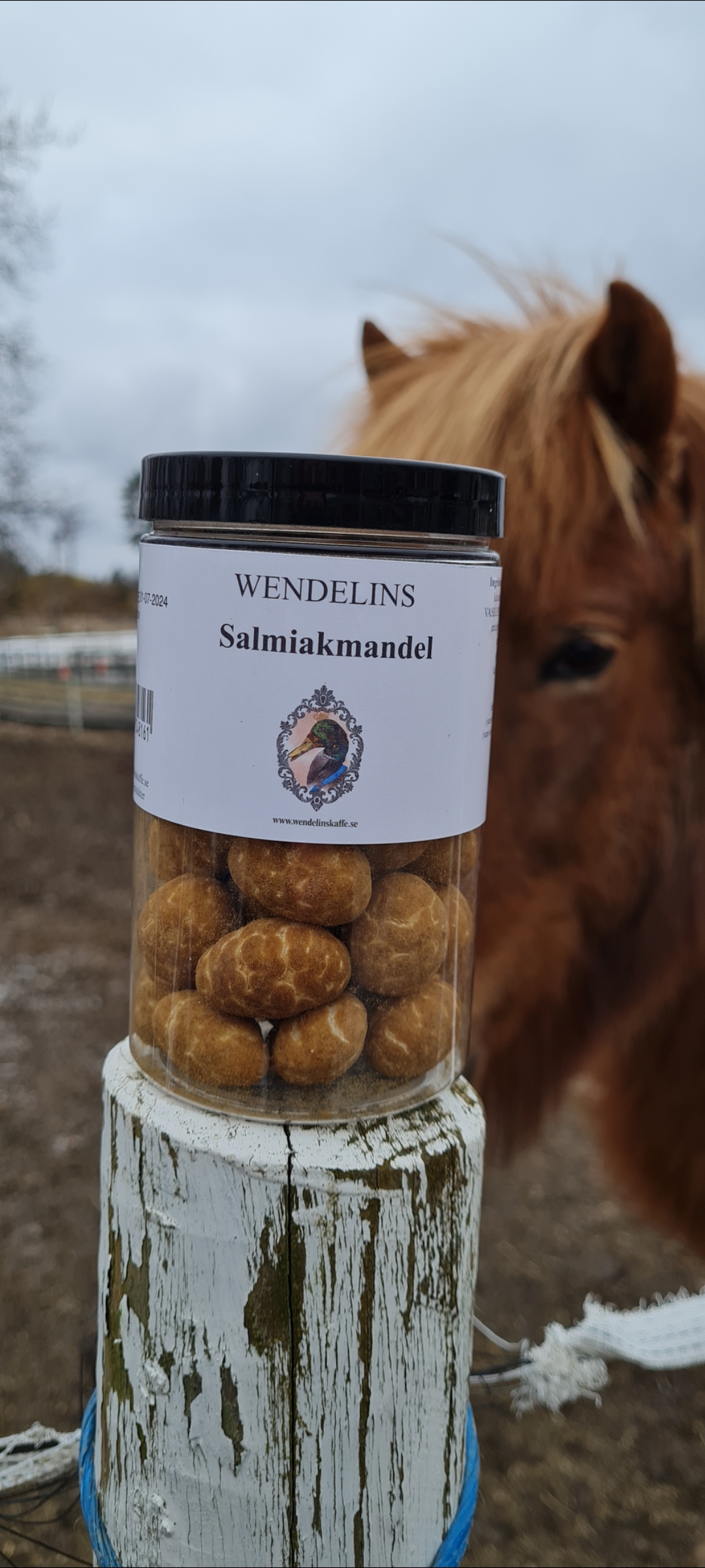 Tjäna pengar till ridlaget genom att sälja godis