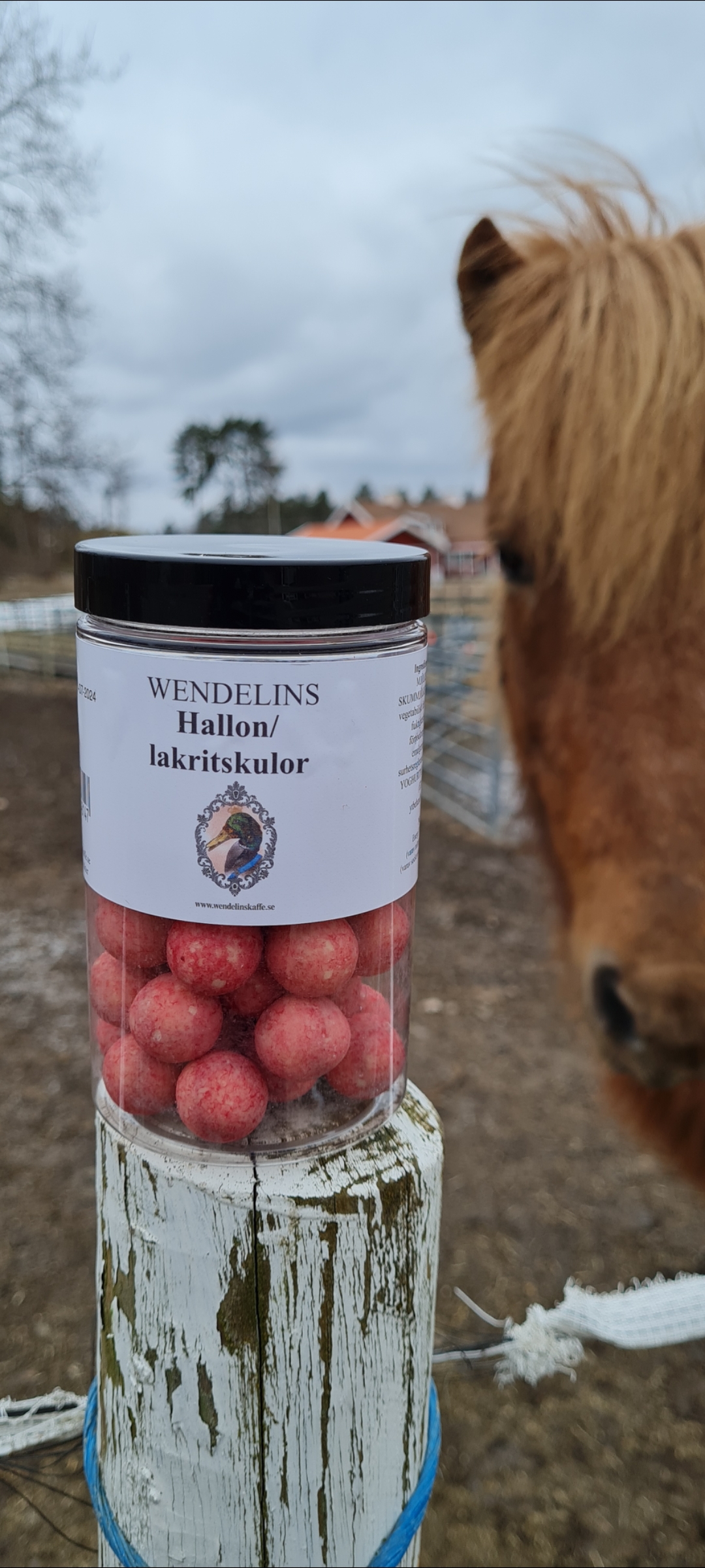 sälja godis