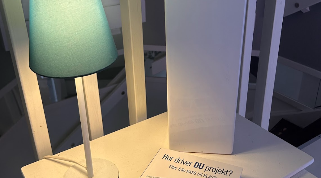 Hur driver du projekt?